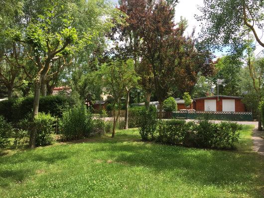camping Picon del Conde — photo 4